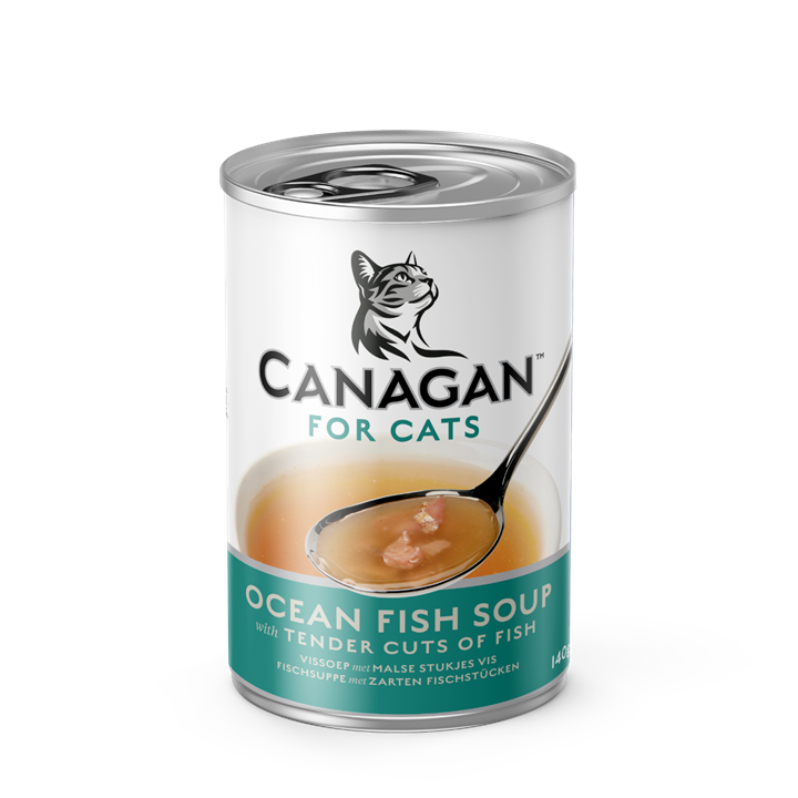 Ocean Fish Soup